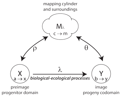 Figure 6: A generation as a mapping cylinder