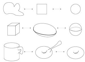 Figure 10: Deformations of objects